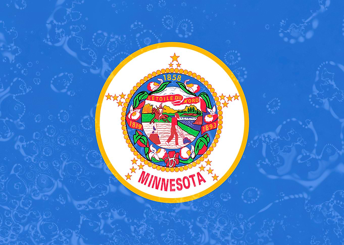 Minnesota State Flag
