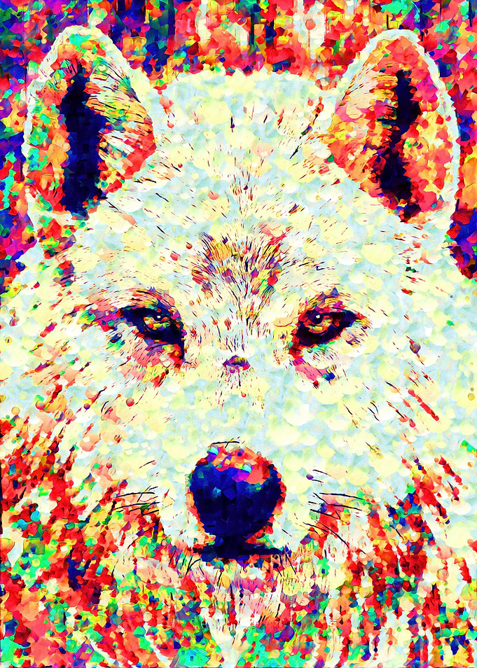 kiba wolf