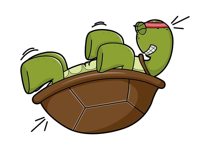 Turtle Shell Fitness