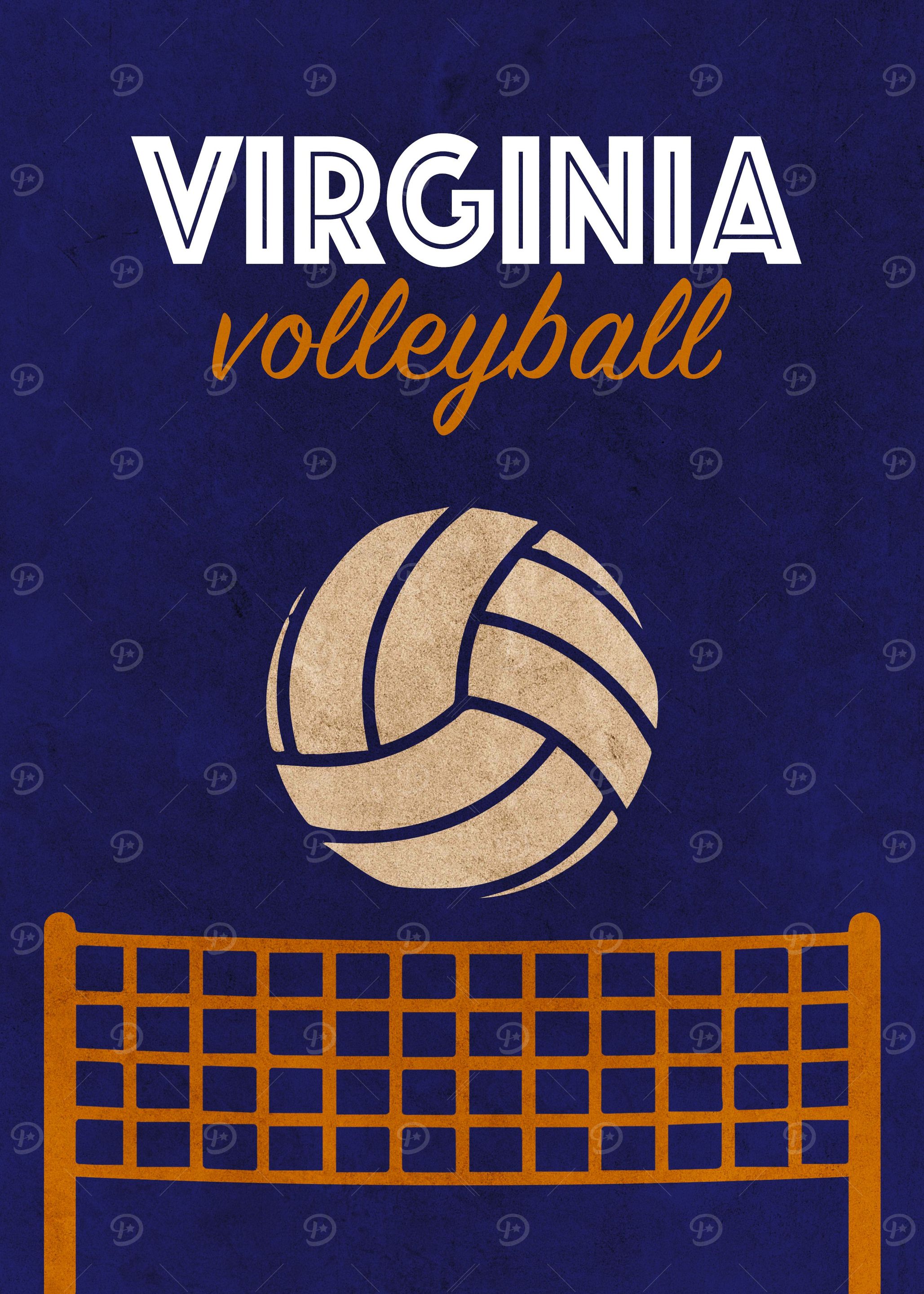 Virginia Volleyball Team