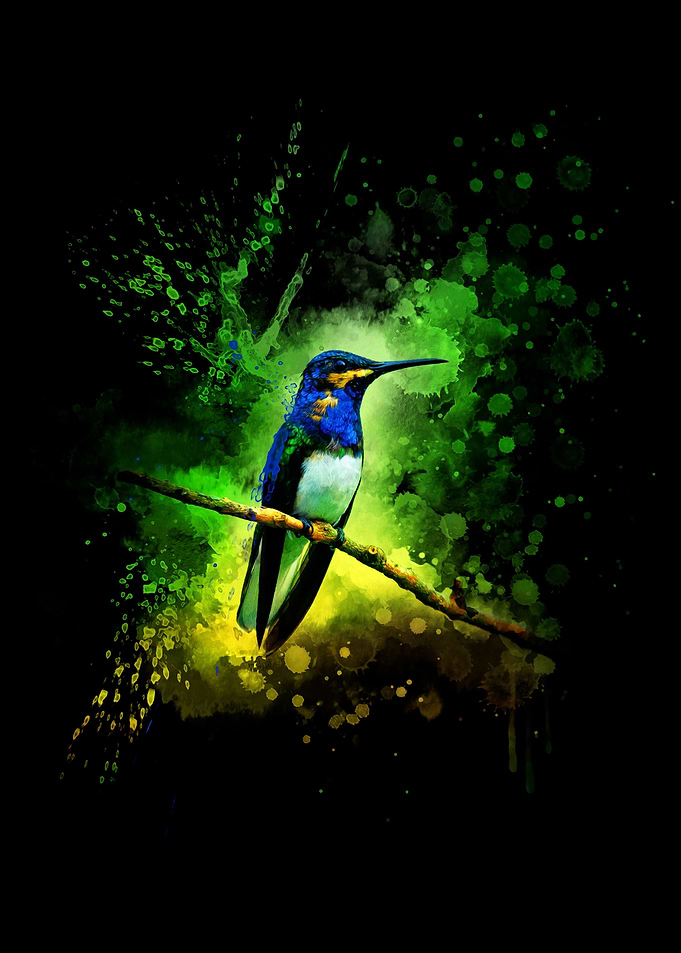 hummingbird