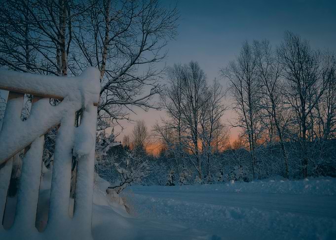 Winter scene III