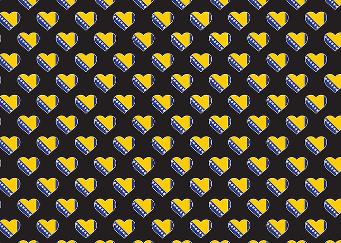 Bosnia and Herzegovina