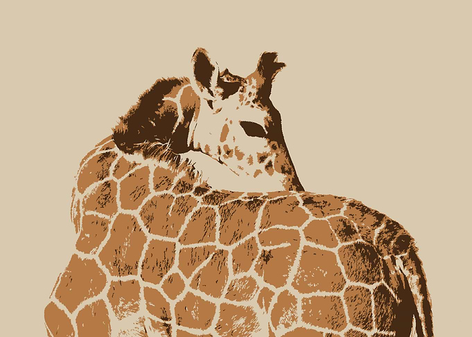 giraffe