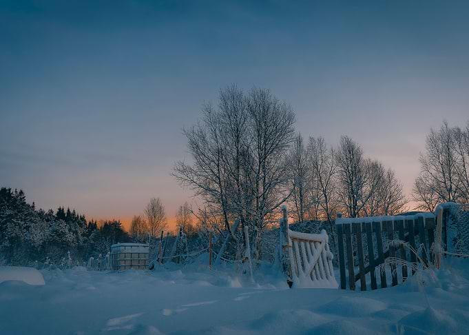 Winter scenery III