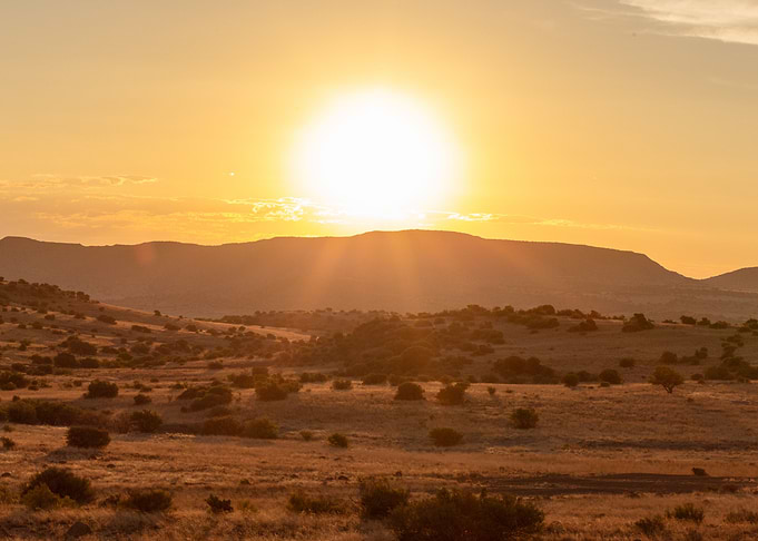 My Southern Sun
