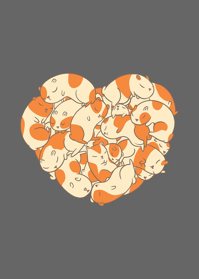 Guinea Pigs Heart