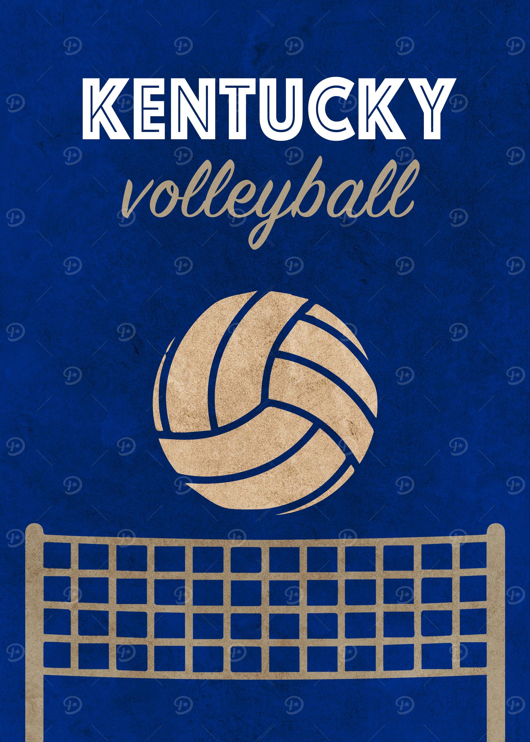 Kentucky Volleyball Team