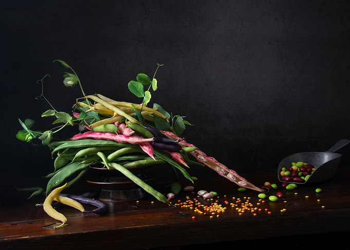 dark stilllife