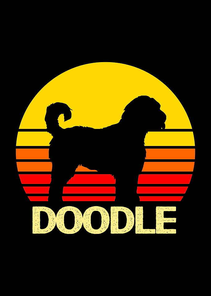 Goldendoodle Sunset Dog