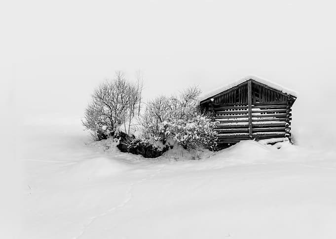 winter