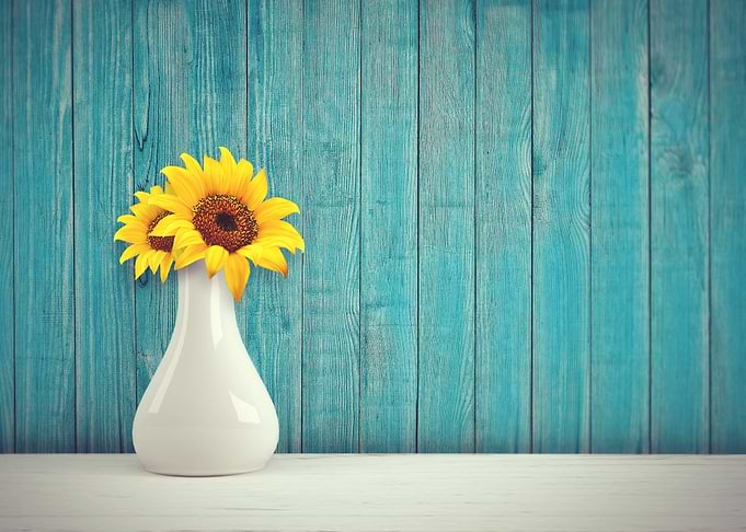 Sunflower blue
