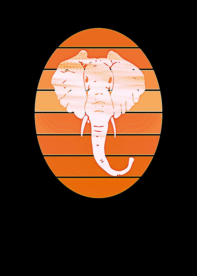 Elephant animal sun