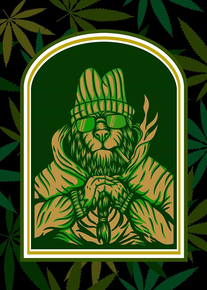 Cannabis Weed Marihuana