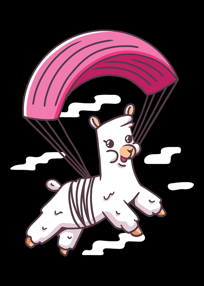 Alpaca gift