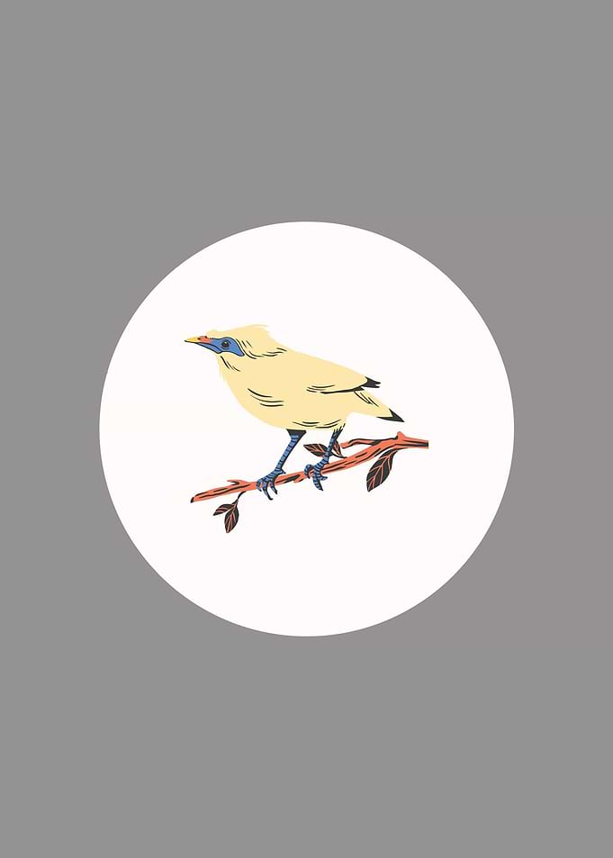 Yellow Bird