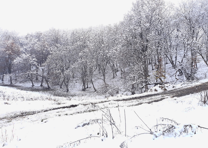 Winter land