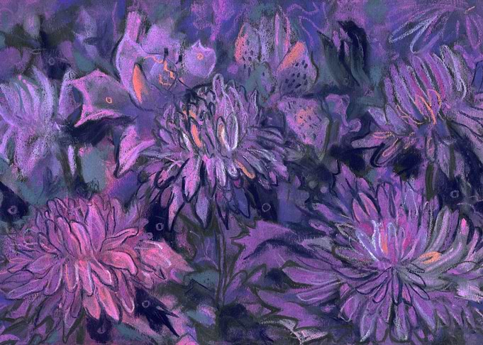 Chrysanthemum Abstraction