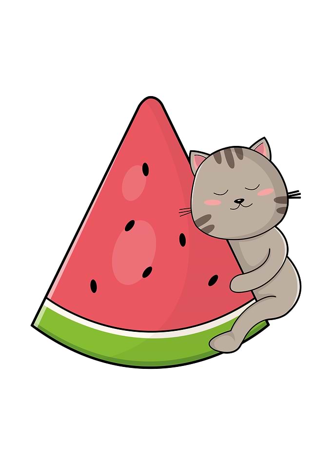 Cat Fruit Watermelon