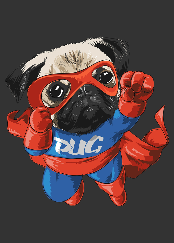 So Cute Pug Dog