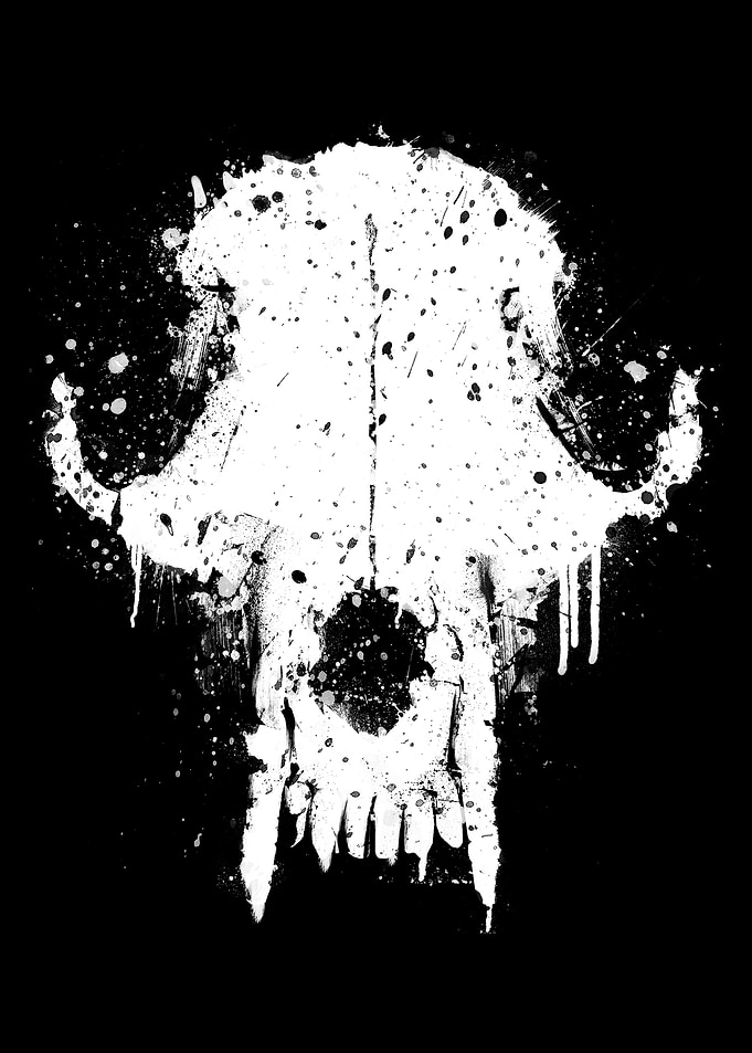 Fox Skull Graffiti