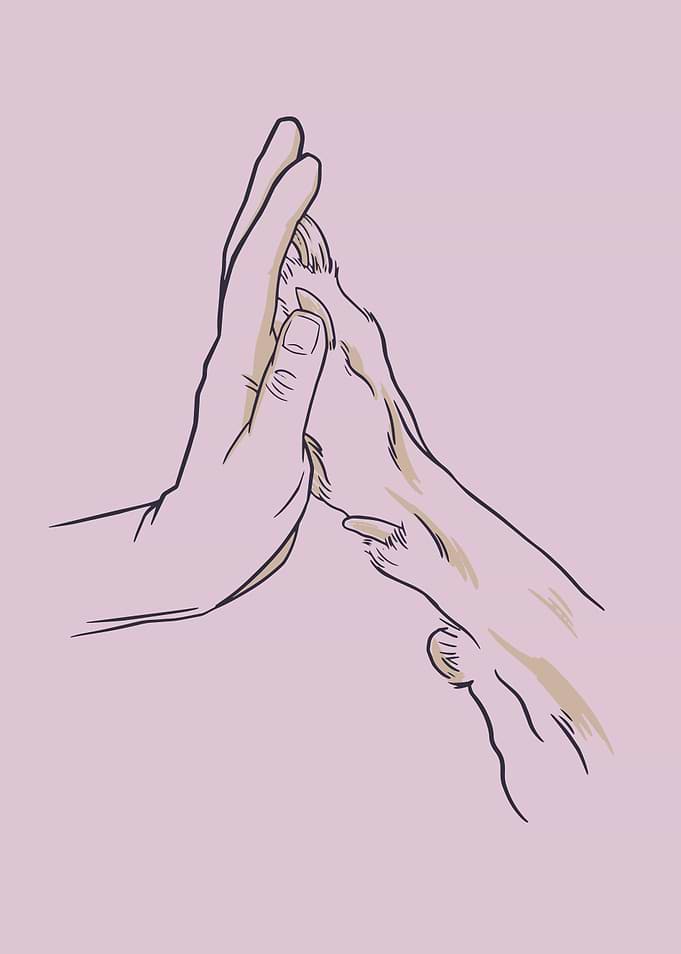 Hand and Dog Paw