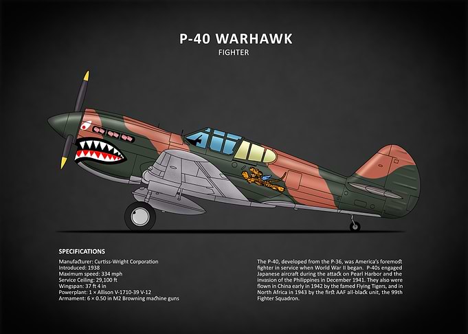 The P40 Warhawk