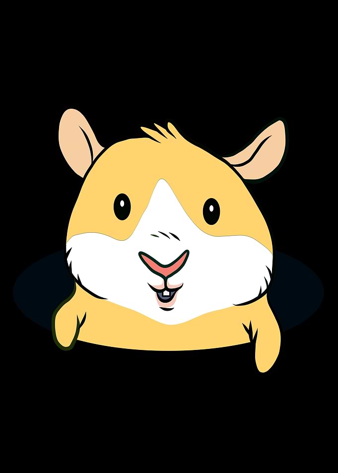 Cute Guinea Pig