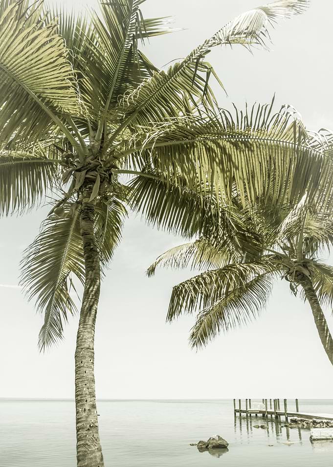 FLORIDA Heavenly Place