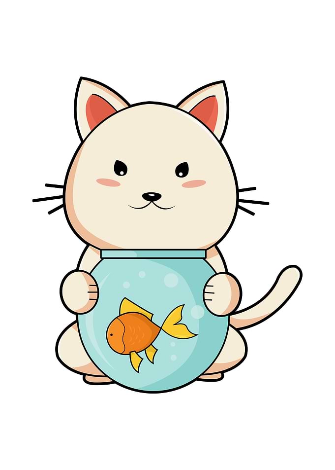 Cat Glass Fish