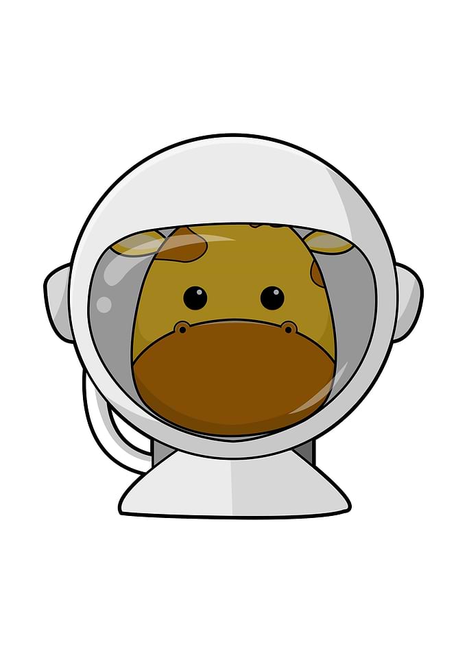 Giraffe Astronaut Helm