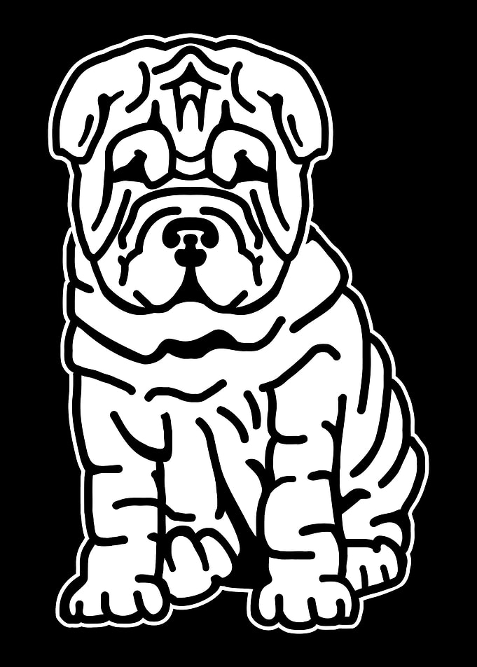 Shar Pei