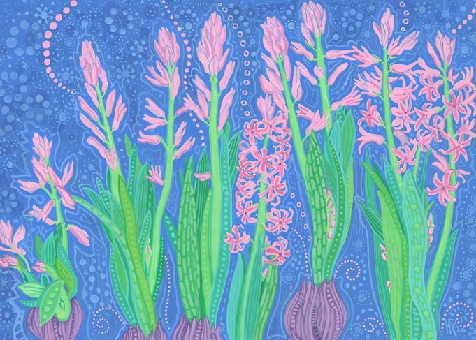 Pink Hyacinth Flowers