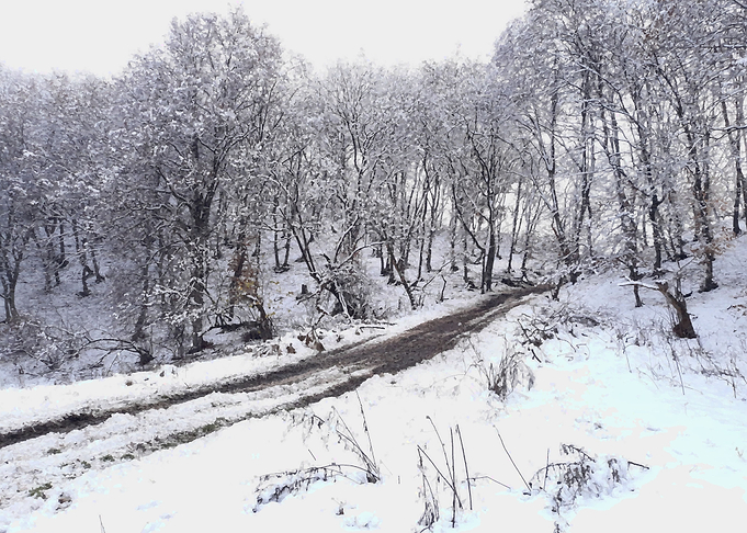 Snow magic