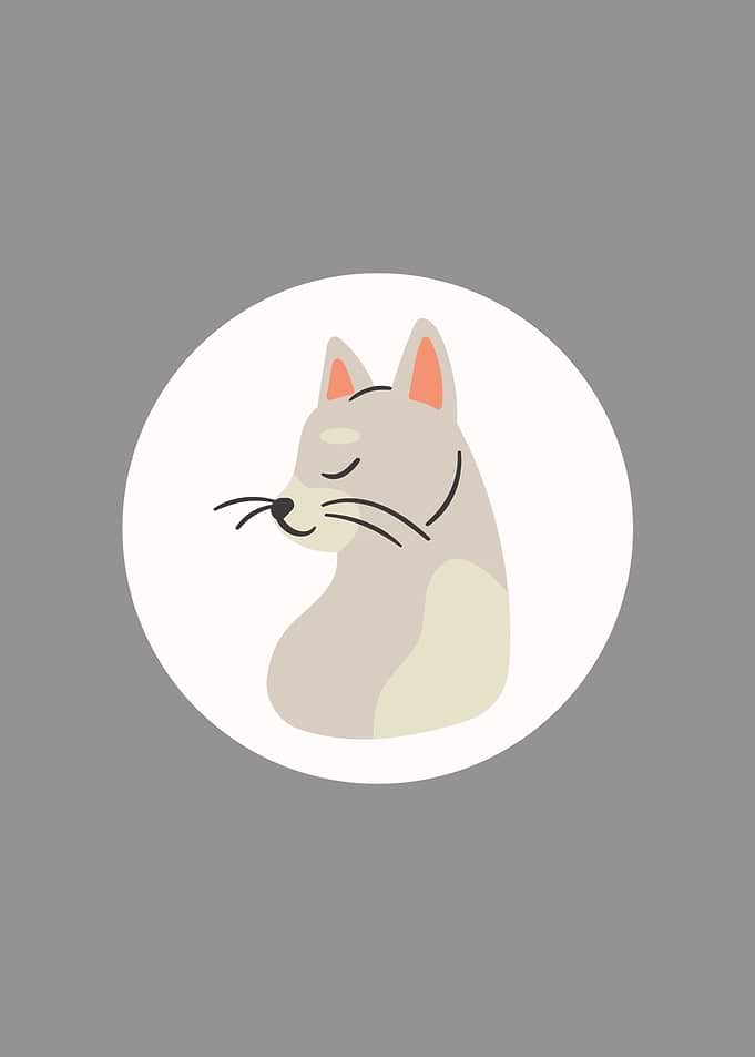 Minimalistic Cat