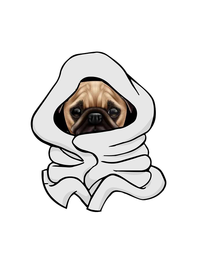 Hooded Dog