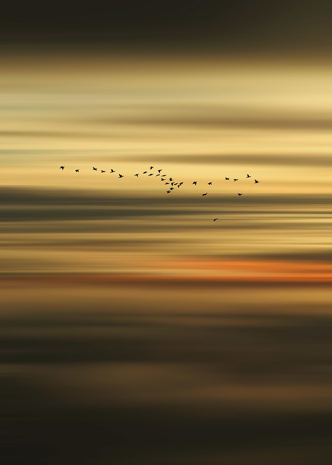 Golden Sunset