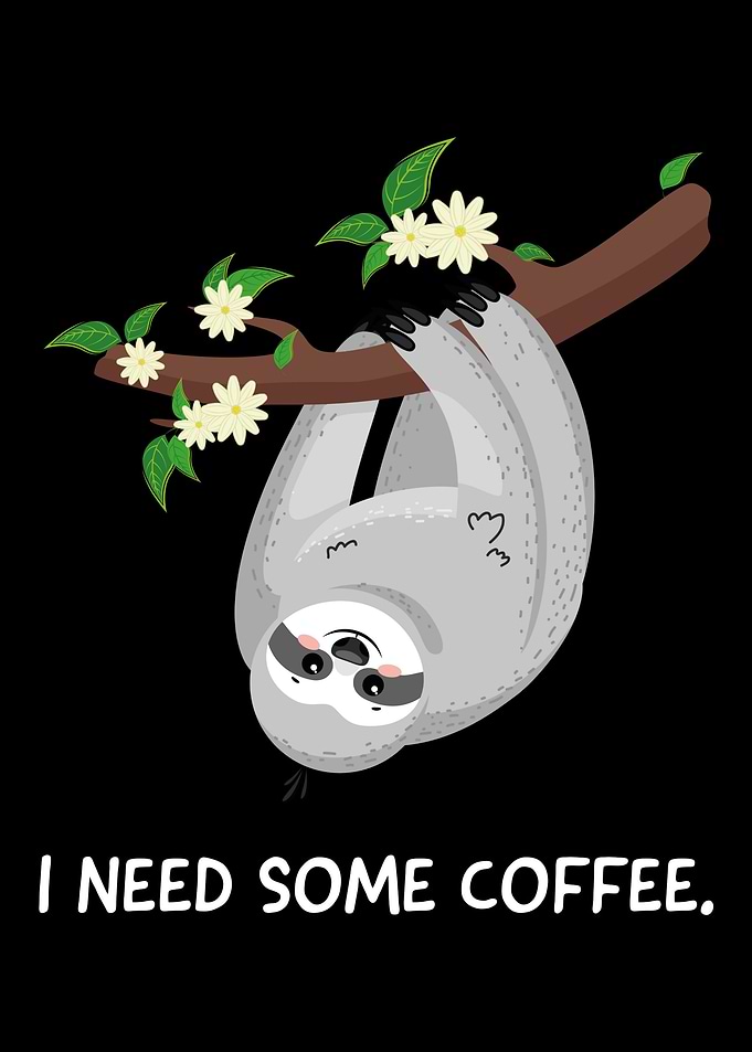Sloth Lazy Chill Relax gif