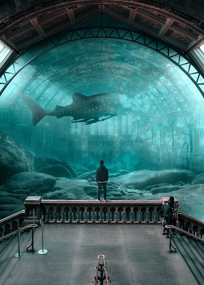 Aquarium Time