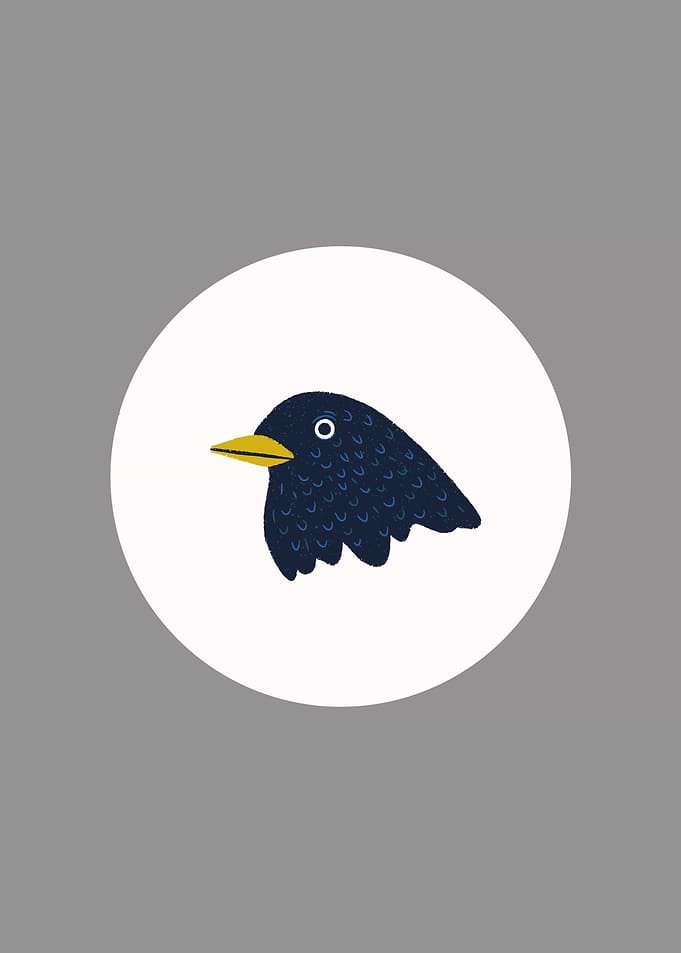 Minimalistic Bird