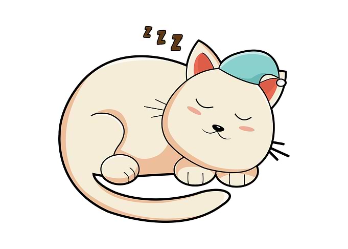 Cat Sleeping Sleepyhead