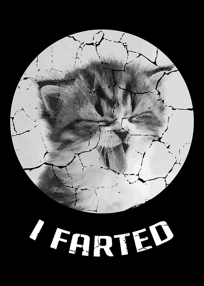 I Farted Funny Person Gift