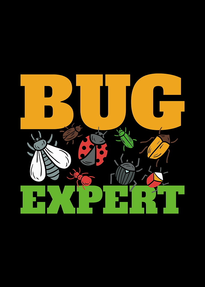 Bug Insect Entomologist