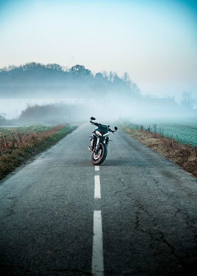 triumph in the morning