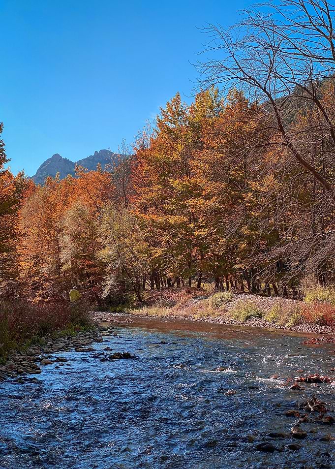Autumn Falls