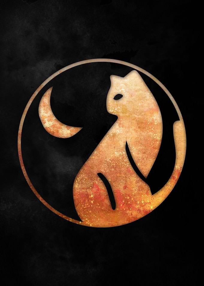Golden Cat and The Moon