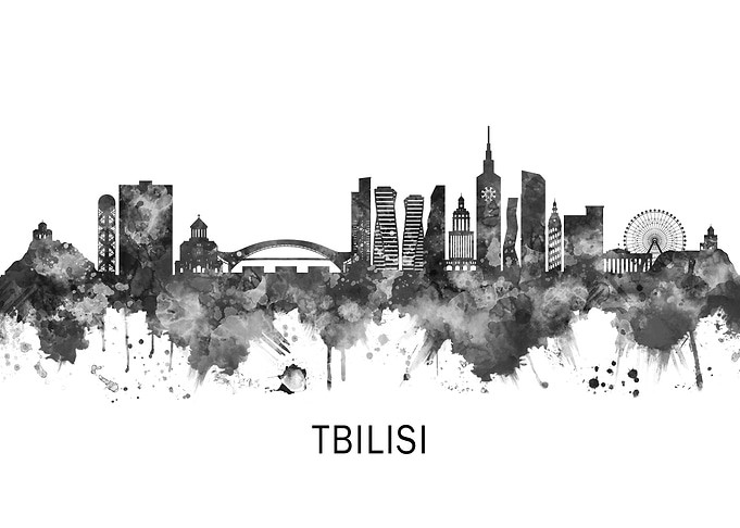 Tbilisi Georgia Skyline BW