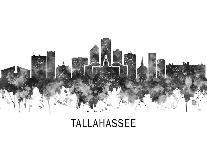 Tallahassee USA Skyline BW
