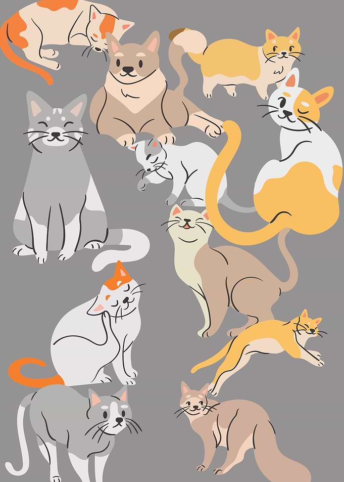 Cats