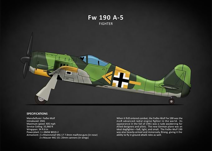 The Fw 190 Fighter